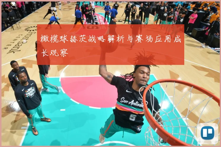 橄榄球赫茨战略解析与赛场应用成长观察