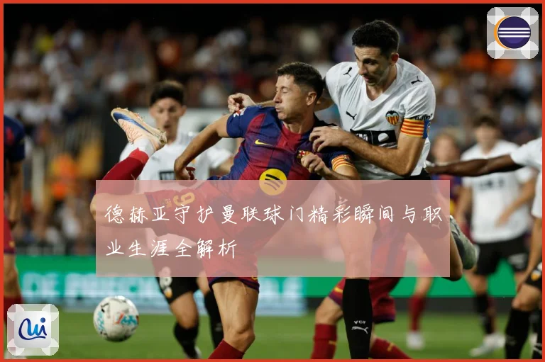 德赫亚守护曼联球门精彩瞬间与职业生涯全解析